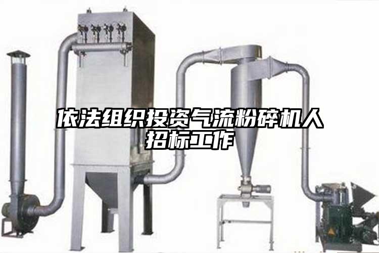 依法组织投资气流芭乐APP下载无限免费人招标工作