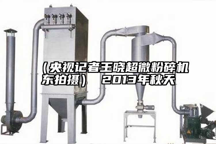 （央视记者王晓超微芭乐APP下载无限免费东拍摄） 2013年秋天